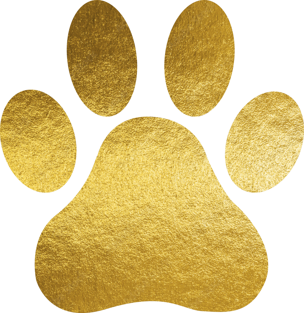 Gold Paw Illustration