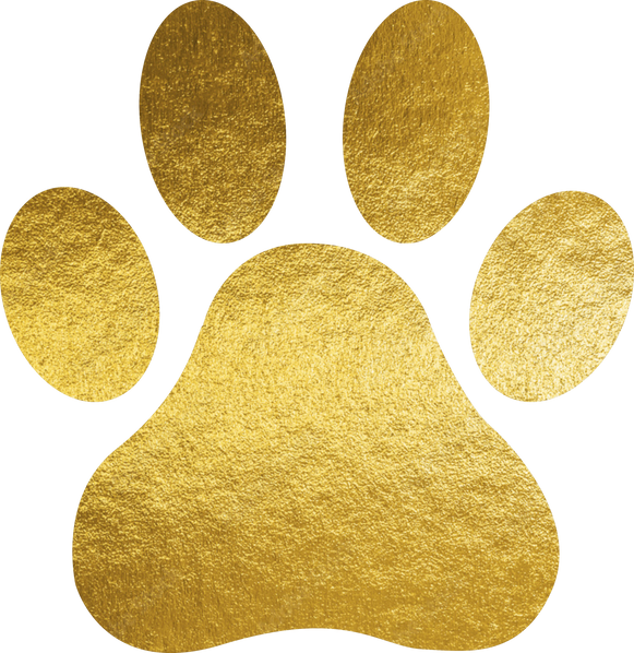 Gold Paw Illustration